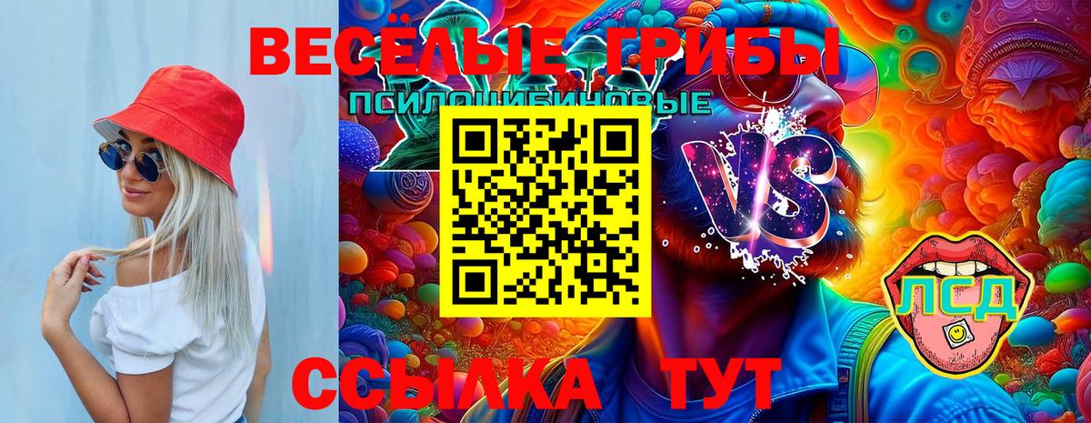 Белорецк  Псилоцибиновые грибы Cubensis  Вход с VPN  Псилоцибиновые грибы Psilocybine cubensis 