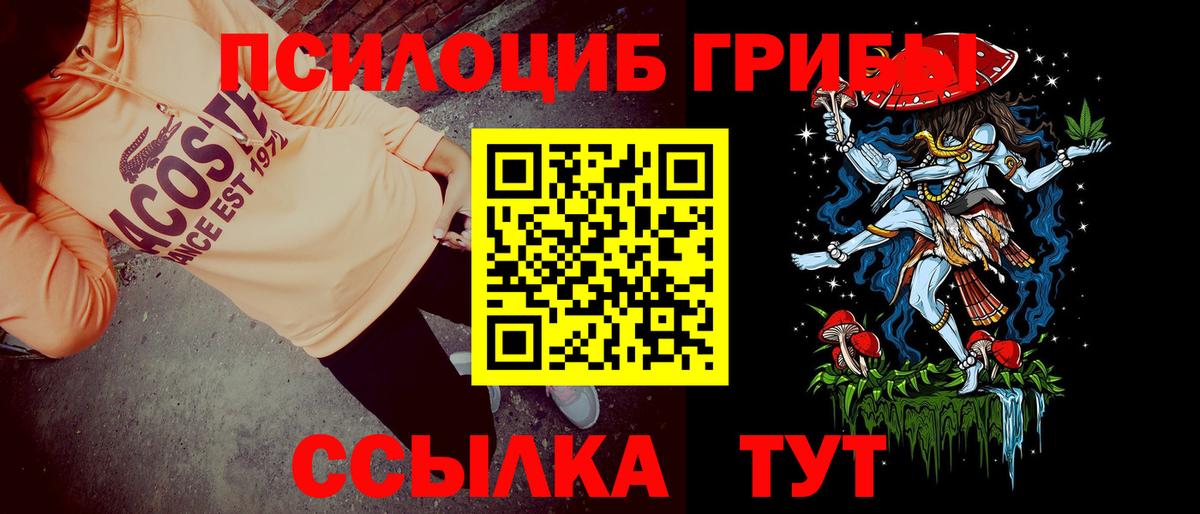 Псилоцибиновые грибы GOLDEN TEACHER Белорецк